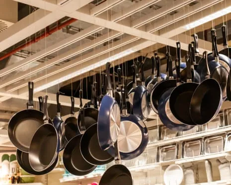 PTFE Nutrition, Garlic Milk and Zebra Cows Excel at This Year's Ig Nobel Prizes