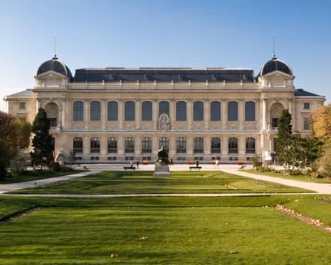 Invaluable Golden Pieces Taken in Audacious Robbery at France's National Museum
