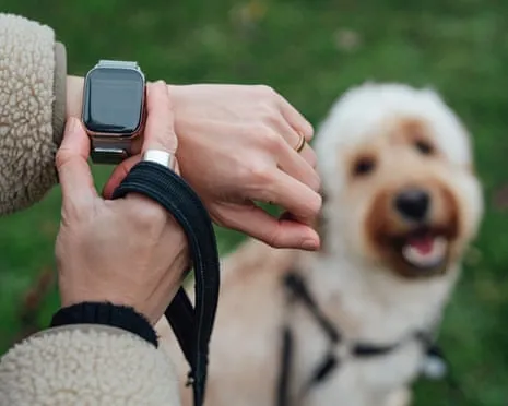 The Truth Concerning Wearable Tech? Daily Existence Feels Fuller Devoid of a Hectoring Zealot on Your Arm